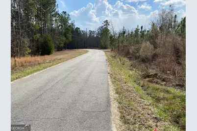 0 Baker Rd, Waverly Hall, GA 31831 - Photo 4