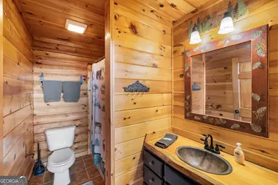 180 Cinnamon Bear Road, Mineral Bluff, GA 30559 - Photo 32