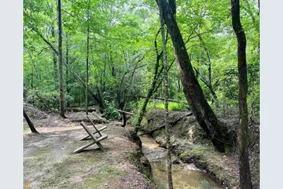 186 Holly Lane, Cleveland, GA 30528 - Photo 46