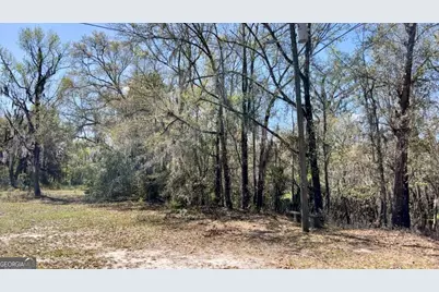 265 Big Cypress Drive, Bloomingdale, GA 31302 - Photo 4