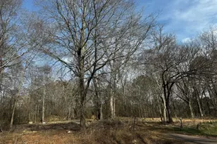 135 Joe Carey Rd, Winterville, GA 30683 - Photo 1