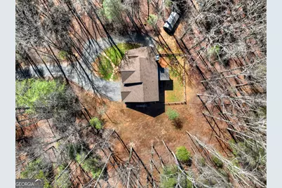 175 Mountain Springs Road, Ellijay, GA 30540 - Photo 10