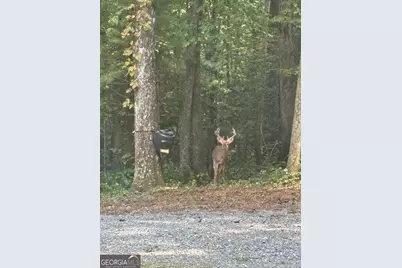 175 Mountain Springs Road, Ellijay, GA 30540 - Photo 60