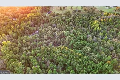 5555 Carlton Lane, Garfield, GA 30425 - Photo 8