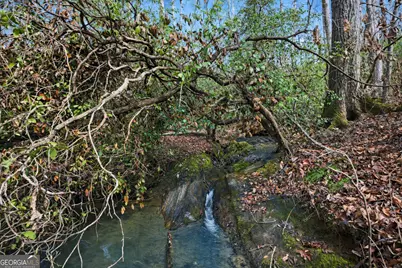 2325 Stonepile Road #LOT 3, Clarkesville, GA 30523 - Photo 18