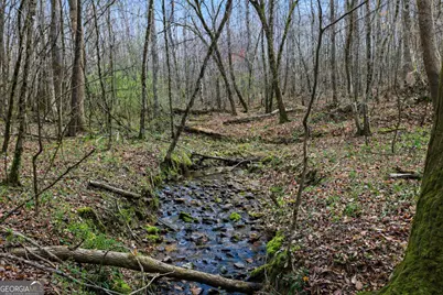 2325 Stonepile Road #LOT 3, Clarkesville, GA 30523 - Photo 12