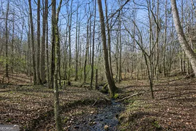 2325 Stonepile Road #LOT 3, Clarkesville, GA 30523 - Photo 8