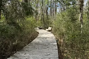 205 Starboard Ct, Kingsland, GA 31548 - Photo 52