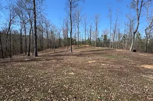 7022 Ga Hwy 100, Buchanan, GA 30113 - Photo 42