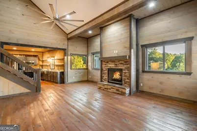 2637 River Road, Mineral Bluff, GA 30559 - Photo 4