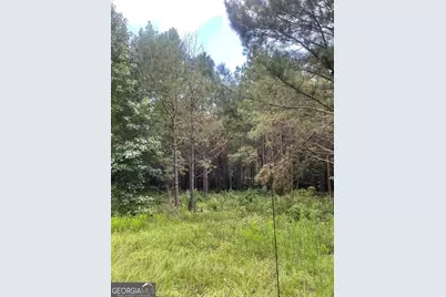 0 Main Street, Milner, GA 30257 - Photo 2