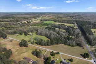 1150 Harris Hollis Ln, Rutledge, GA 30663 - Photo 38