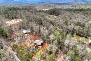 223 Bent Wood Ln, Blue Ridge, GA 30513 - Photo 42