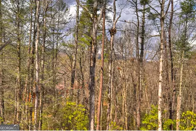 223 Bent Wood Lane, Blue Ridge, GA 30513 - Photo 14