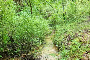 580 Emmaus Rd, Epworth, GA 30541 - Photo 22