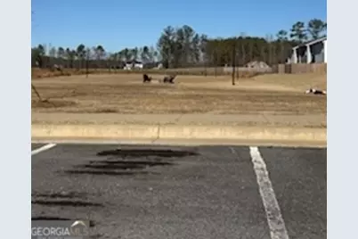 100 Village Green Drive NW, Adairsville, GA 30103 - Photo 18