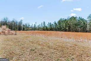 2242 Crawfordville Rd, Rayle, GA 30660 - Photo 34