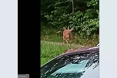 187 Bierce Drive, Young Harris, GA 30582 - Photo 54