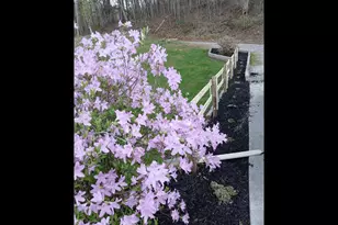 187 Bierce Dr, Young Harris, GA 30582 - Photo 30