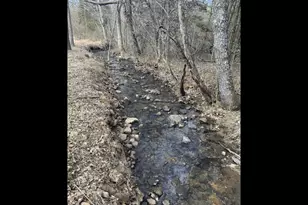 187 Bierce Dr, Young Harris, GA 30582 - Photo 2