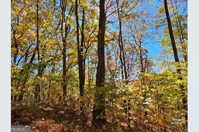 0 Confederate Drive, Clayton, GA 30525 - Photo 14