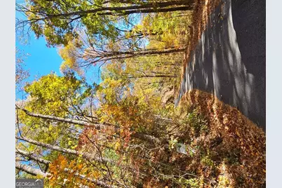 0 Confederate Drive, Clayton, GA 30525 - Photo 12