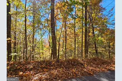 0 Confederate Drive, Clayton, GA 30525 - Photo 8