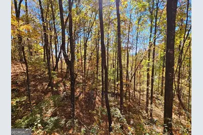 0 Confederate Drive, Clayton, GA 30525 - Photo 6