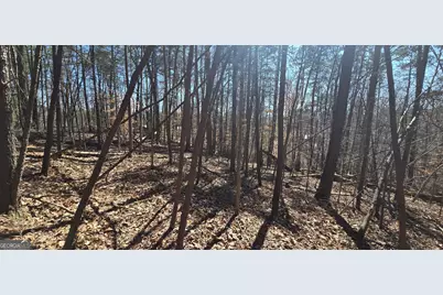 Tract 2 Friendship Trail, Talking Rock, GA 30175 - Photo 10
