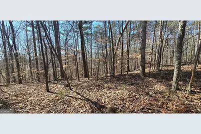 Tract 2 Friendship Trail, Talking Rock, GA 30175 - Photo 8