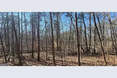 Tract 2 Friendship Trail, Talking Rock, GA 30175 - Photo 4