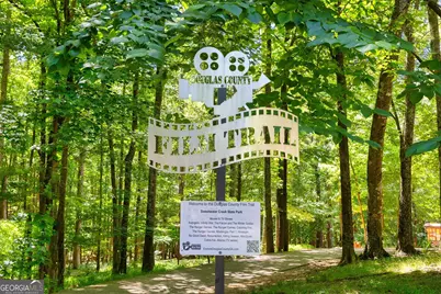 2861 Lillian Lane, Douglasville, GA 30135 - Photo 44