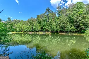 341 Valley View Rd, Ellijay, GA 30536 - Photo 74