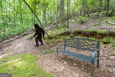 341 Valley View Road, Ellijay, GA 30536 - Photo 42