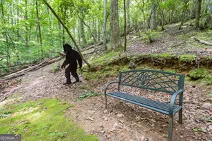 341 Valley View Rd, Ellijay, GA 30536 - Photo 42