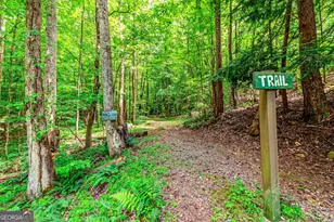 341 Valley View Rd, Ellijay, GA 30536 - Photo 80