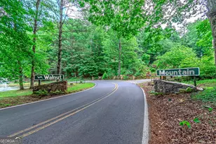 341 Valley View Rd, Ellijay, GA 30536 - Photo 68