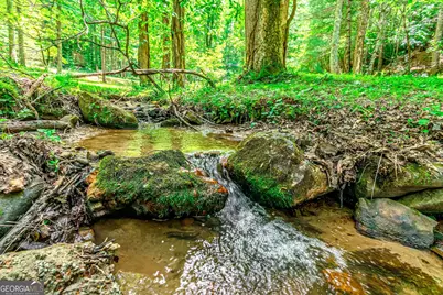 341 Valley View Road, Ellijay, GA 30536 - Photo 56