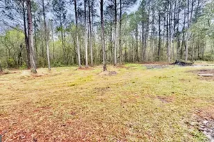 5926 Ml Br Clb Rd, Brooklet, GA 30415 - Photo 24