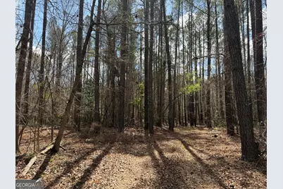 0 Cypress Creek Road, Wrightsville, GA 31096 - Photo 10