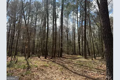 0 Cypress Creek Road, Wrightsville, GA 31096 - Photo 24