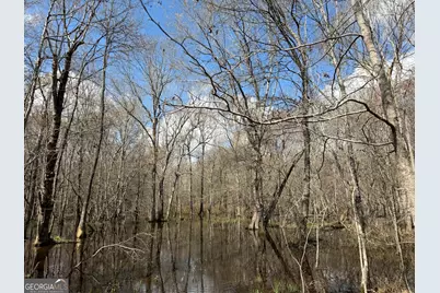 0 Cypress Creek Road, Wrightsville, GA 31096 - Photo 8