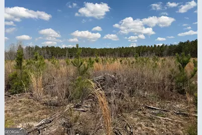 0 Cypress Creek Road, Wrightsville, GA 31096 - Photo 22