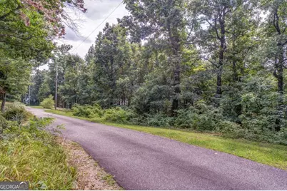0 Burnt Mountain Ridge Road, Jasper, GA 30143 - Photo 4