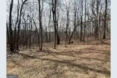 0 Burnt Mountain Ridge Road, Jasper, GA 30143 - Photo 10