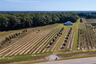 1904 Hwy 341 S, Barnesville, GA 30204 - Photo 6