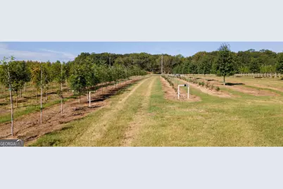 1904 Highway 341 S, Barnesville, GA 30204 - Photo 4