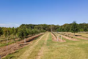 1904 Hwy 341 S, Barnesville, GA 30204 - Photo 4