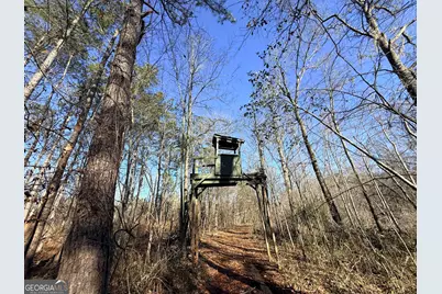 4 Sun Hill Grange Road, Davisboro, GA 31018 - Photo 12