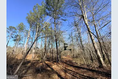 4 Sun Hill Grange Road, Davisboro, GA 31018 - Photo 18